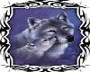 wolves love