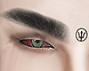 Brows + Trident