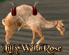 LWR}Desert Camel Ani