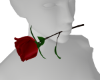 Ruse