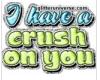 I Have A Crush On You