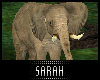 4K .:Elephant:.