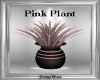 Pink Plant