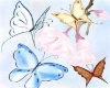 S.S ANIMATED BUTTERFLIES