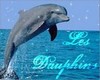 les dauphins