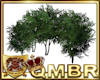 QMBR Trees Poseless
