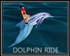 Fun Dolphin Ride