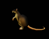 The Rat ( animated ) HD 