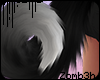 z | Wolfie Tail - Oreo 2