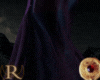Night Prince Robes