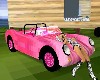 pinky 10pose car