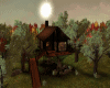 A-AUTUM FOREST