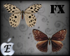 EDJ Butterfly Enhancer