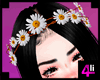 Daisy Hair Flower