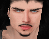BIGOTE Y BARBA NEGRA