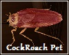 Cockroach Pet