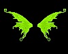 EC Lime green wings