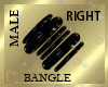 Male Bangles R