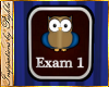I~Owl Exam 1 Sign
