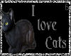 *Chee: I love cats