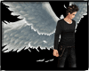 [AE]Feathered Angel Wing