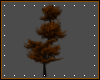*N* Animated Tree