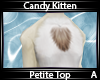 C. Kitten Petite Top A