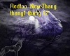 Redfoo-New Thang