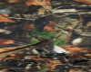MCM Woodland CAMO Pants