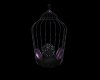 Black & Purple Cage Seat