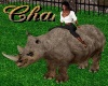 Cha`Zoo Ani Rhino