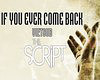 The Script - If You Ever