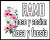 GM's Ramo con Acciones