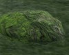 (LCA) Mossy Rock 1