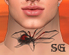 Spider  Blood Tatto