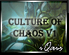 Culture Of Chaos v1