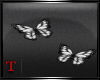 [T™ :: Butterflies ::]