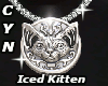 Iced Kitten