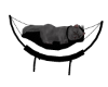 Animated Sleeping Cat
