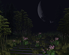 Ambient Forest Night