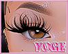 Ỿ | kash lashes