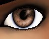 [D] Real Brown Eyes