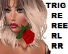 Red Rose Valentine