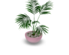 Red Plant pot