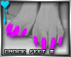 D~Canine Feet:Purple M