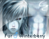 [c4z] M Fur Winterberry
