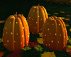 Autumn Pumpkins {F}