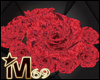 M69 Shoulder Roses