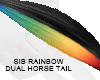 SIB - Rainbow Horse ANI
