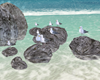 GAVIOTAS